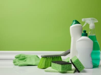 brush and domestic supplies for spring cleaning on green
