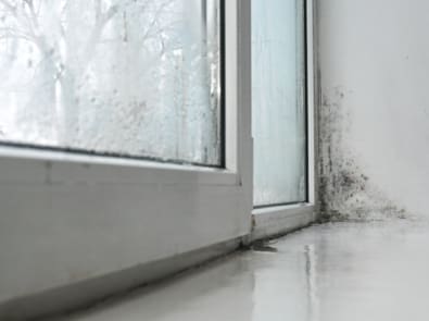 5 Hidden Costs of Cheap Commercial Cleaning Services